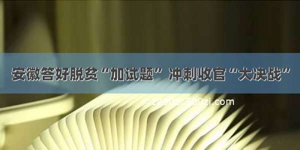 安徽答好脱贫“加试题” 冲刺收官“大决战”