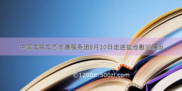 中国文联文艺志愿服务团8月10日走进盐池慰问演出