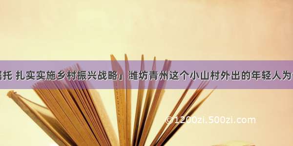 「牢记嘱托 扎实实施乡村振兴战略」潍坊青州这个小山村外出的年轻人为何回来了？