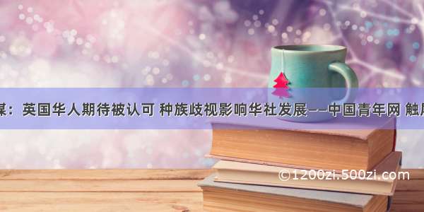 英媒：英国华人期待被认可 种族歧视影响华社发展——中国青年网 触屏版