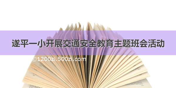 遂平一小开展交通安全教育主题班会活动