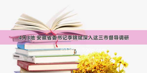 4天3地 安徽省委书记李锦斌深入这三市督导调研