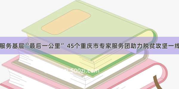 服务基层“最后一公里” 45个重庆市专家服务团助力脱贫攻坚一线