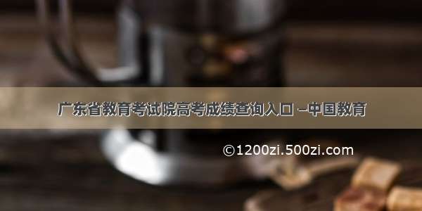 广东省教育考试院高考成绩查询入口 —中国教育