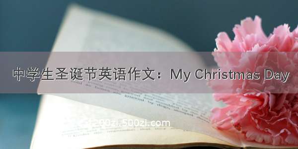 中学生圣诞节英语作文：My Christmas Day