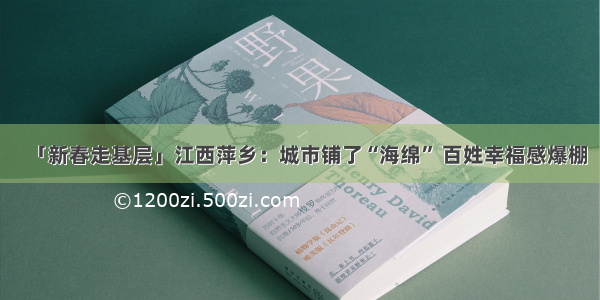 「新春走基层」江西萍乡：城市铺了“海绵” 百姓幸福感爆棚