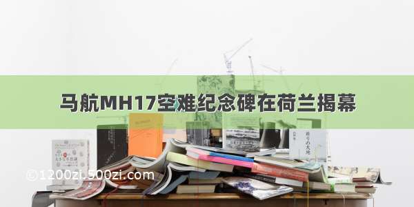 马航MH17空难纪念碑在荷兰揭幕