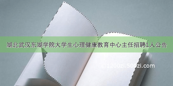 湖北武汉东湖学院大学生心理健康教育中心主任招聘1人公告