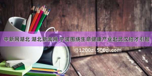 中新网湖北 湖北新闻网 宁波围绕生命健康产业赴武汉招才引智