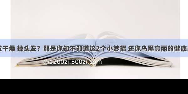 头发干燥 掉头发？那是你知不知道这2个小妙招 还你乌黑亮丽的健康头发