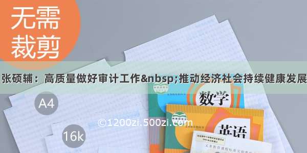 张硕辅：高质量做好审计工作 推动经济社会持续健康发展