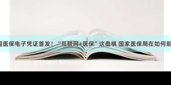 全国医保电子凭证首发！“互联网+医保”这盘棋 国家医保局在如何部署？