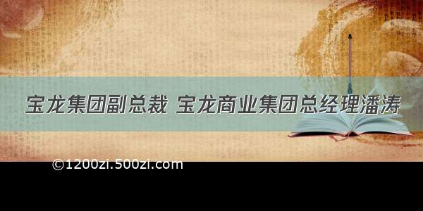 宝龙集团副总裁 宝龙商业集团总经理潘涛