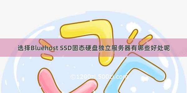 选择Bluehost SSD固态硬盘独立服务器有哪些好处呢