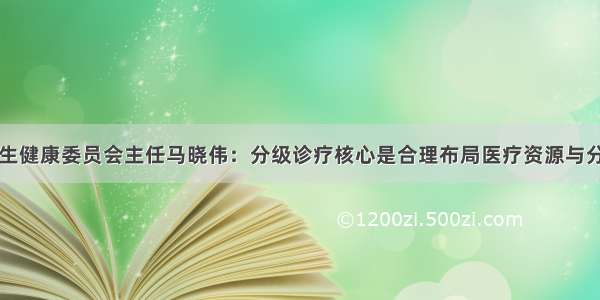 国家卫生健康委员会主任马晓伟：分级诊疗核心是合理布局医疗资源与分流病人