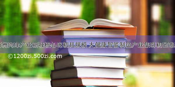 新洲问津产业新城核心区初具规模 大健康智能制造产业集群初显雏形