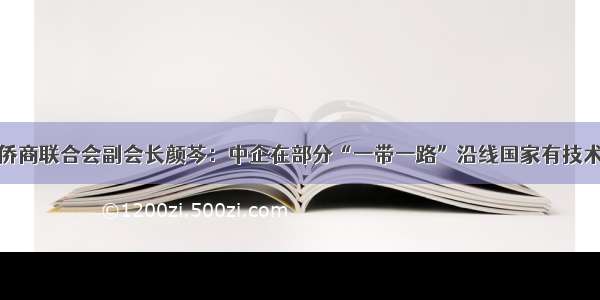 中国侨商联合会副会长颜芩：中企在部分“一带一路”沿线国家有技术优势