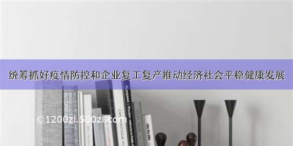 统筹抓好疫情防控和企业复工复产推动经济社会平稳健康发展