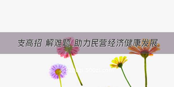 支高招 解难题 助力民营经济健康发展