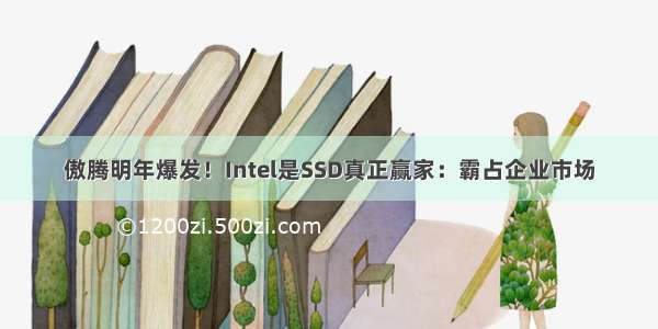 傲腾明年爆发！Intel是SSD真正赢家：霸占企业市场