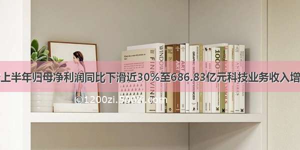 中国平安上半年归母净利润同比下滑近30%至686.83亿元科技业务收入增长11.2%