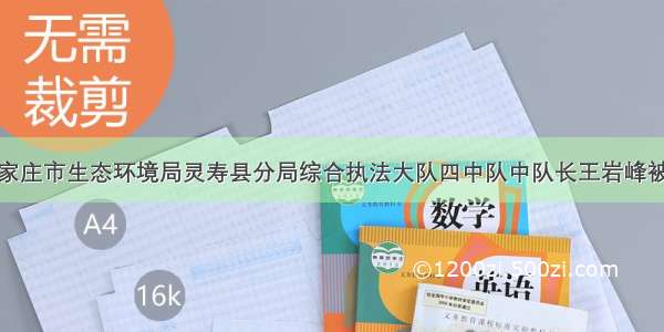 石家庄市生态环境局灵寿县分局综合执法大队四中队中队长王岩峰被查