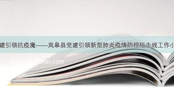 党建引领抗疫魔——岚皋县党建引领新型肺炎疫情防控阻击战工作小记