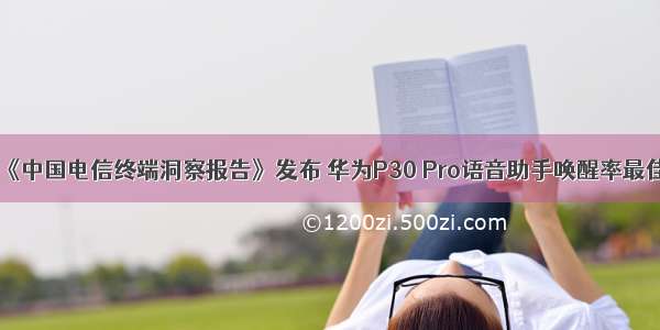 《中国电信终端洞察报告》发布 华为P30 Pro语音助手唤醒率最佳
