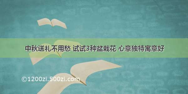 中秋送礼不用愁 试试3种盆栽花 心意独特寓意好