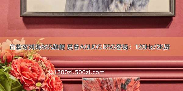 首款双刘海865旗舰 夏普AQUOS R5G登场：120Hz/2K屏