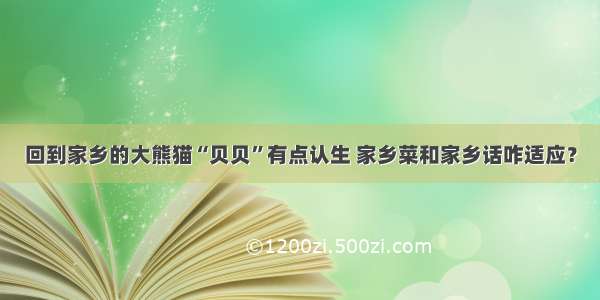 回到家乡的大熊猫“贝贝”有点认生 家乡菜和家乡话咋适应？