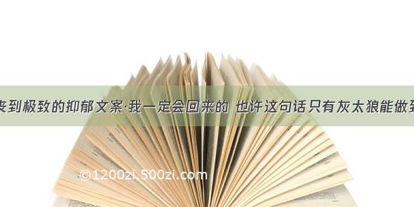 丧到极致的抑郁文案·我一定会回来的 也许这句话只有灰太狼能做到