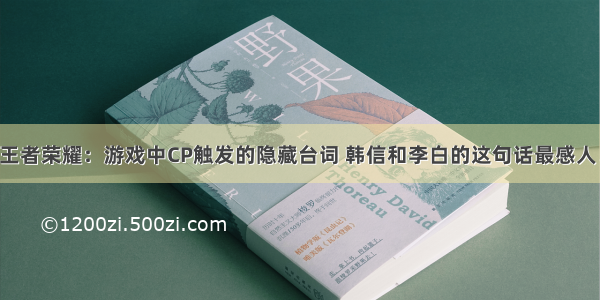 王者荣耀：游戏中CP触发的隐藏台词 韩信和李白的这句话最感人！