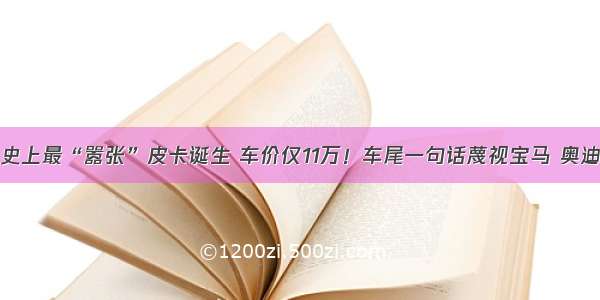 史上最“嚣张”皮卡诞生 车价仅11万！车尾一句话蔑视宝马 奥迪