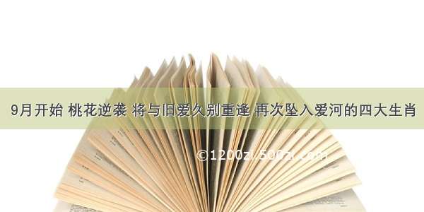 9月开始 桃花逆袭 将与旧爱久别重逢 再次坠入爱河的四大生肖