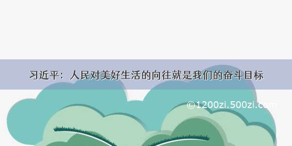 习近平：人民对美好生活的向往就是我们的奋斗目标