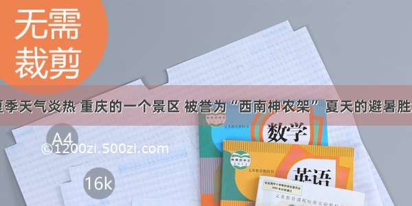 夏季天气炎热 重庆的一个景区 被誉为“西南神农架” 夏天的避暑胜地