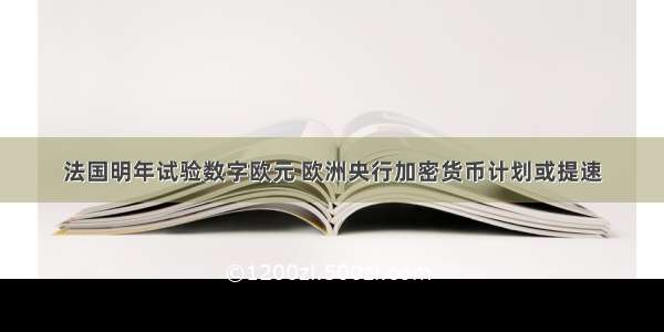 法国明年试验数字欧元 欧洲央行加密货币计划或提速