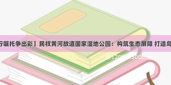 【践行嘱托争出彩】民权黄河故道国家湿地公园：构筑生态屏障 打造鸟类天堂