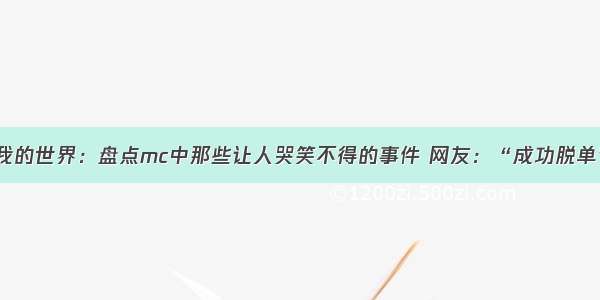 我的世界：盘点mc中那些让人哭笑不得的事件 网友：“成功脱单”