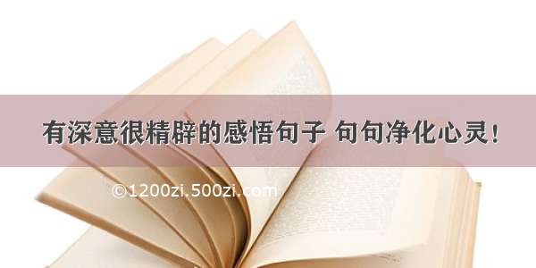 有深意很精辟的感悟句子 句句净化心灵！