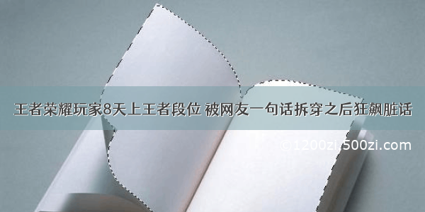 王者荣耀玩家8天上王者段位 被网友一句话拆穿之后狂飙脏话