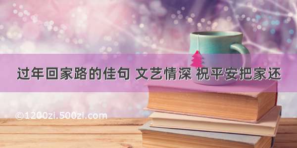 过年回家路的佳句 文艺情深 祝平安把家还