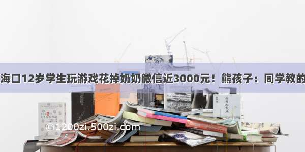 海口12岁学生玩游戏花掉奶奶微信近3000元！熊孩子：同学教的