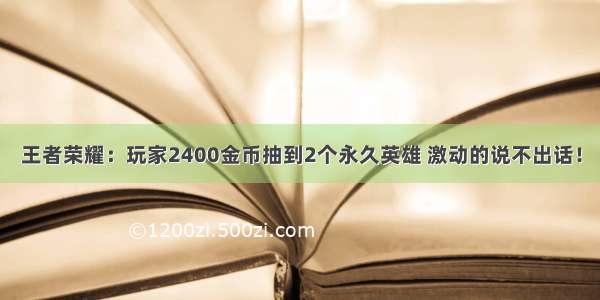 王者荣耀：玩家2400金币抽到2个永久英雄 激动的说不出话！