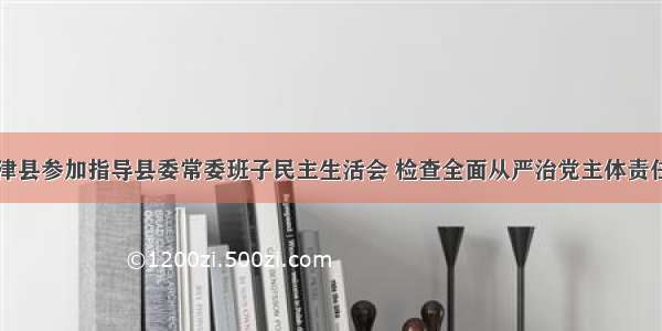 陈勇到宁津县参加指导县委常委班子民主生活会 检查全面从严治党主体责任落实情况