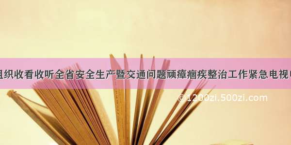 永兴县组织收看收听全省安全生产暨交通问题顽瘴痼疾整治工作紧急电视电话会议