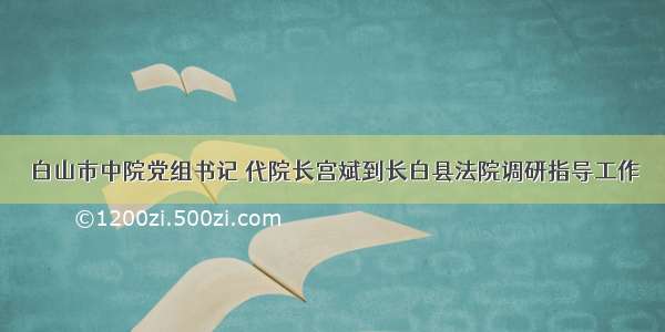 白山市中院党组书记 代院长宫斌到长白县法院调研指导工作