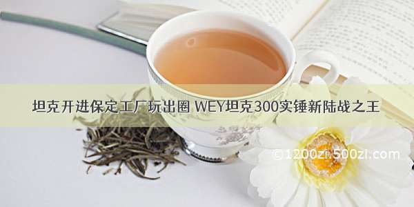 坦克开进保定工厂玩出圈 WEY坦克300实锤新陆战之王