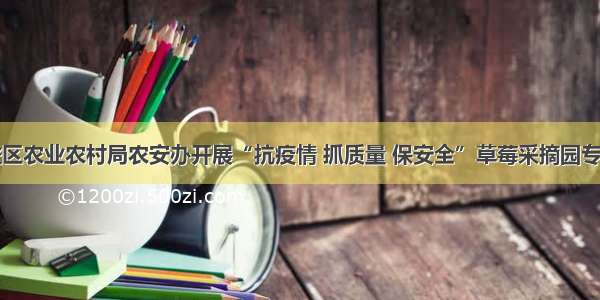 威海市文登区农业农村局农安办开展“抗疫情 抓质量 保安全”草莓采摘园专项整治行动